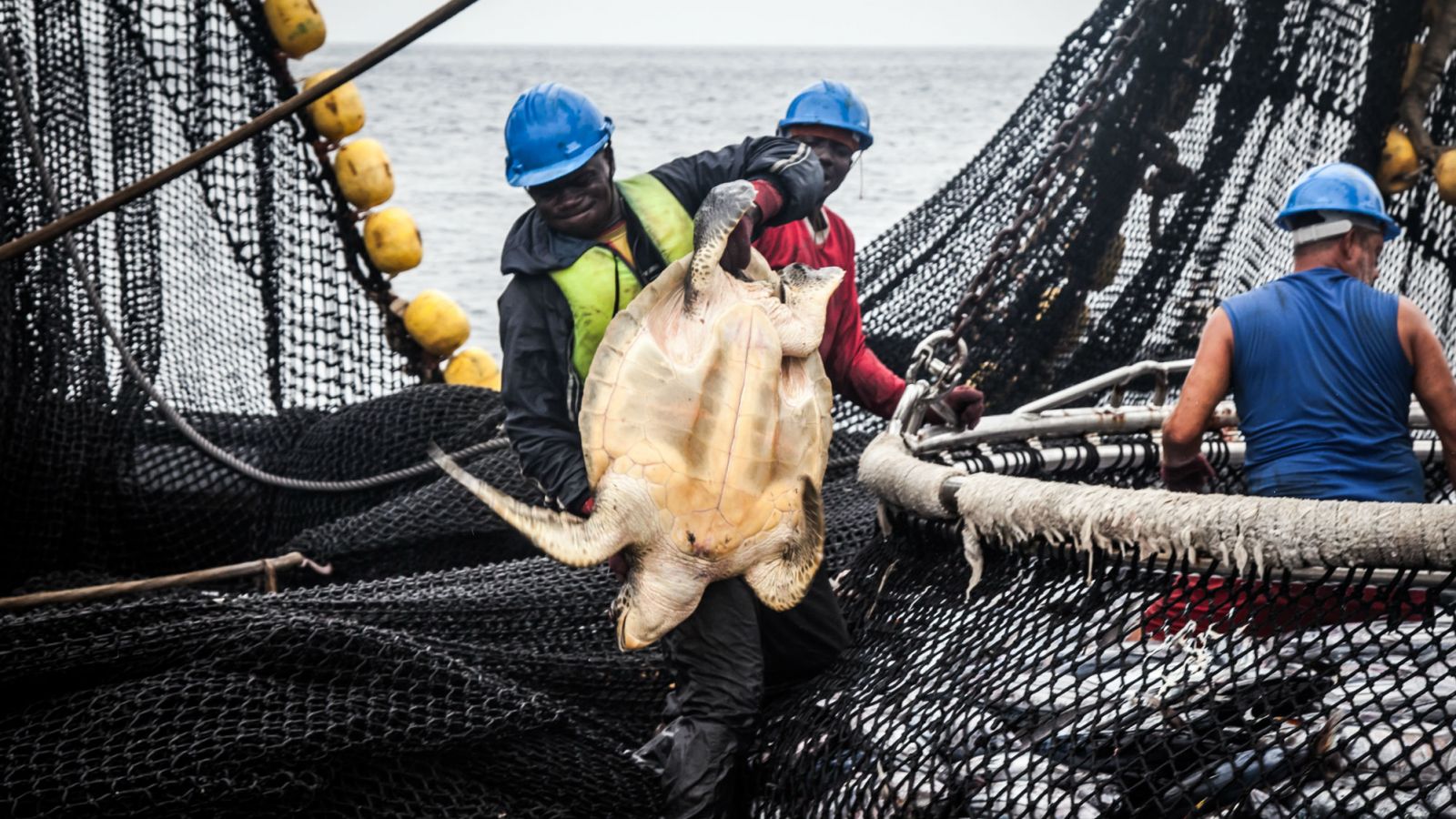 Gabon Authorities Catch Fishing Vessel Out