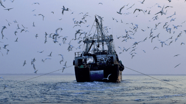 EJF trawler