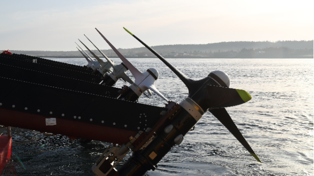 Photo courtesy of Sustainable Marine