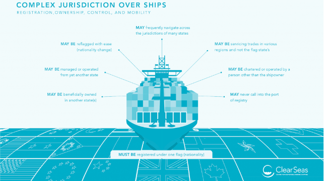 clear seas infographic