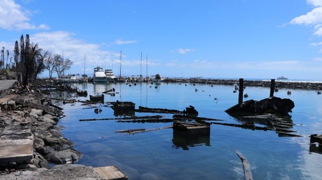 Burned debris and a line of lucky surviving boats at Lahaina's small boat harbor, Sept. 12 (State of Hawaii)
