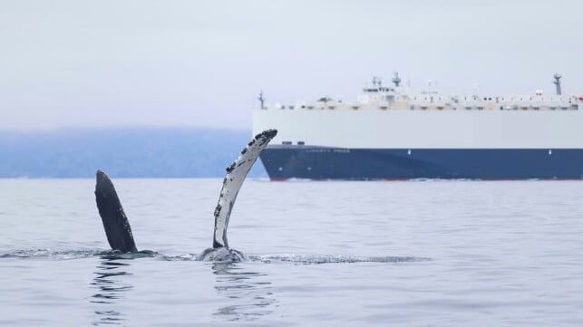 Adam Ernster Wildlife
