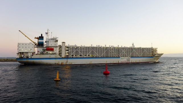 The Al Shuwaikh in Australia in 2014