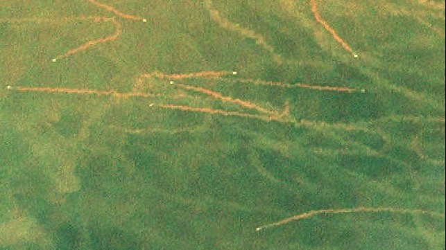 Satellite image of trawler mud trails off the Louisiana coast 