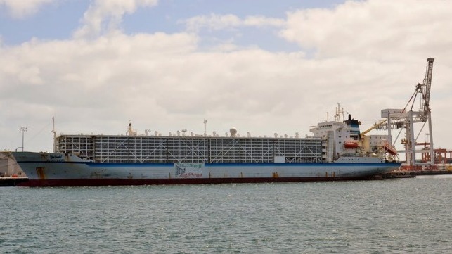 The Al Shuwaikh is one of the Kuwait Livestock Transport and Trading ships that has its standards grandfathered.