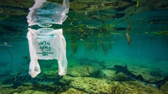 plastic
