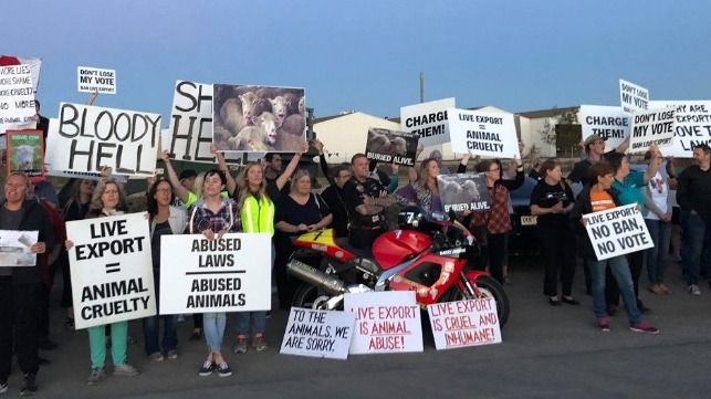 Credit: Adelaide Against Live Export