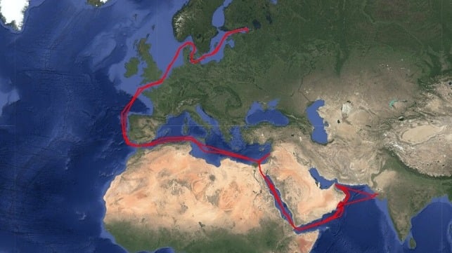Adalynn's AIS trackline shows that she made multiple trips to and from Ust-Luga, Russia over the past year (Pole Star)