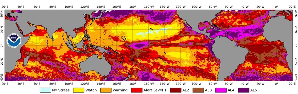 A New Global Coral Bleaching Event is Under Way, and May Be the Worst Yet