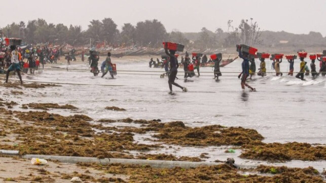 gambia