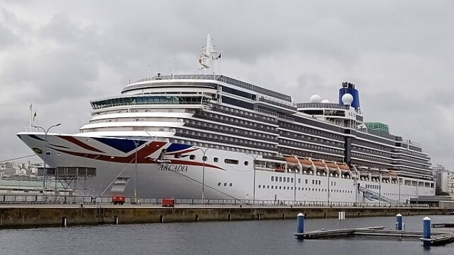 crewing issues force P&O to idle cruise ship Arcadia