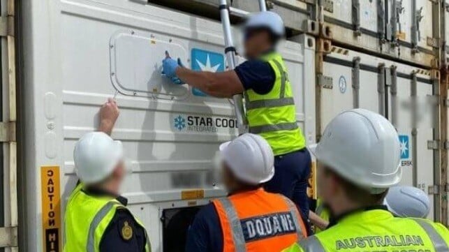An international crew of customs officers inspects a reefer container for drugs (ABF)