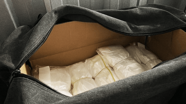 Operation Woodgate ketamine seizure