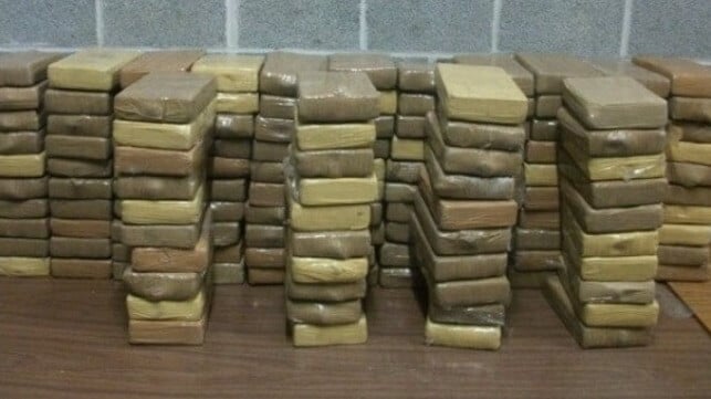 Port of Antwerp cocaine