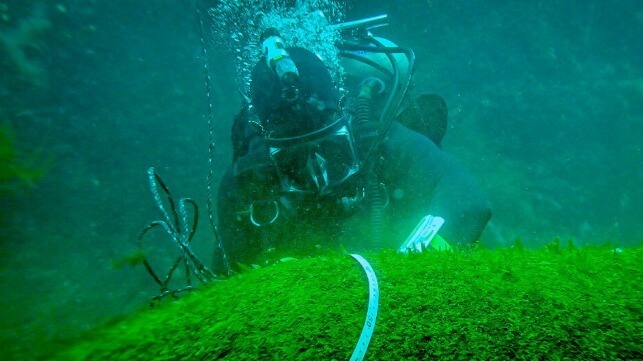 Royal Canadian Navy divers 