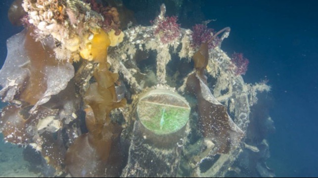 HMS Terror helm