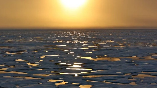 Arctic sea ice