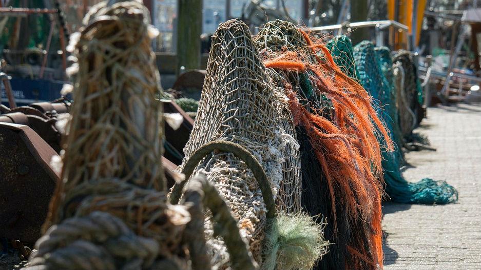 Fishing Nets on Dock