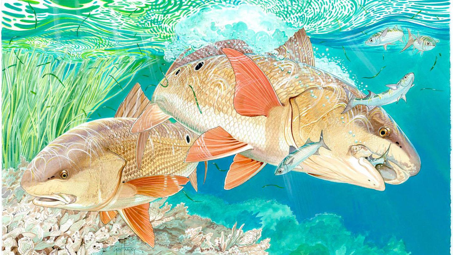 Guy Harvey Art