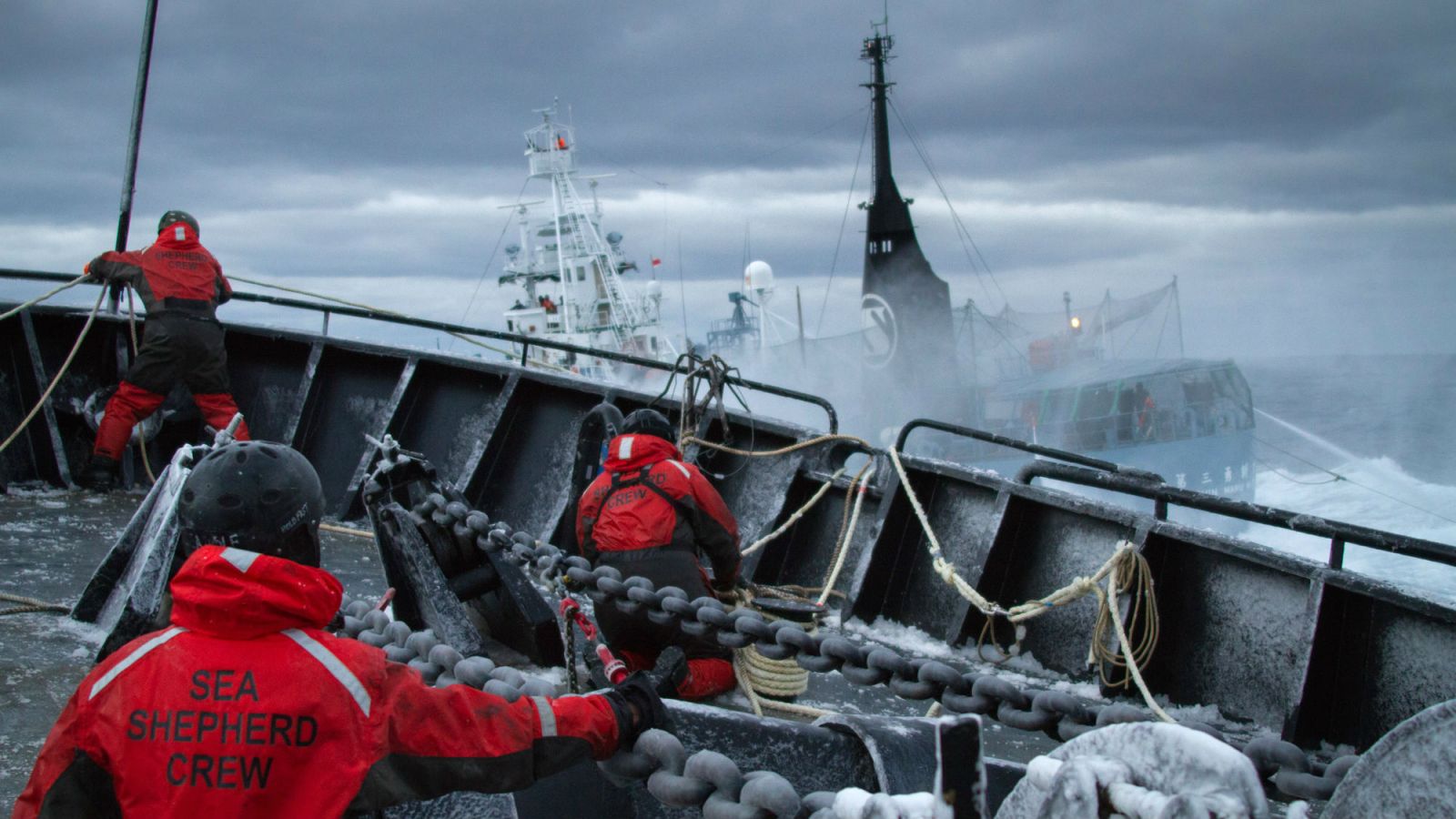 Sea Shepherd ship