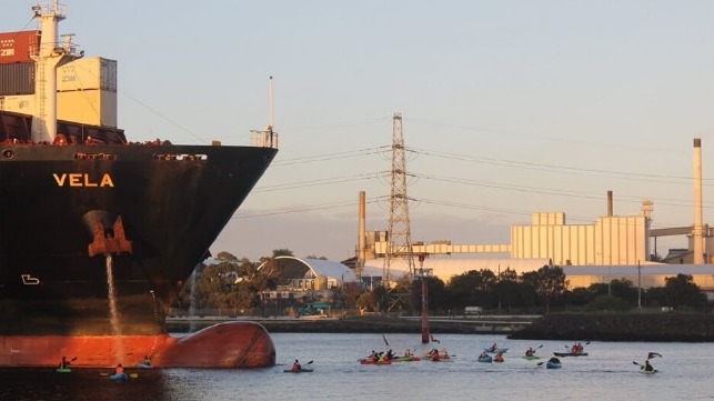 kayaks block containership