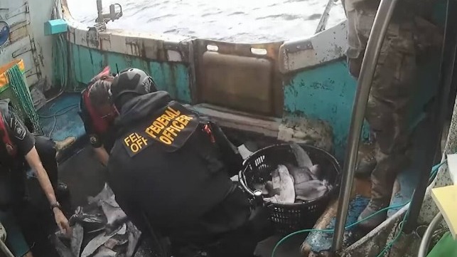 La Patrulla Pesquera Canadiense descubre 3.000 aletas de tiburón ilegales 1 DFO Canadá