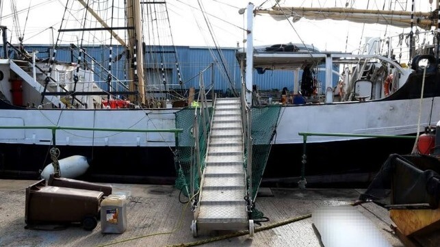 Pelican of London's gangway arrangement (MAIB)