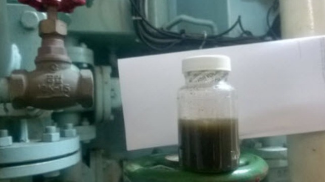Sewage sample