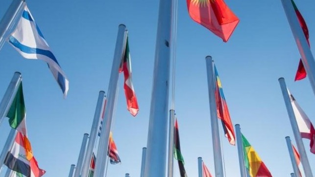 COP25 flags