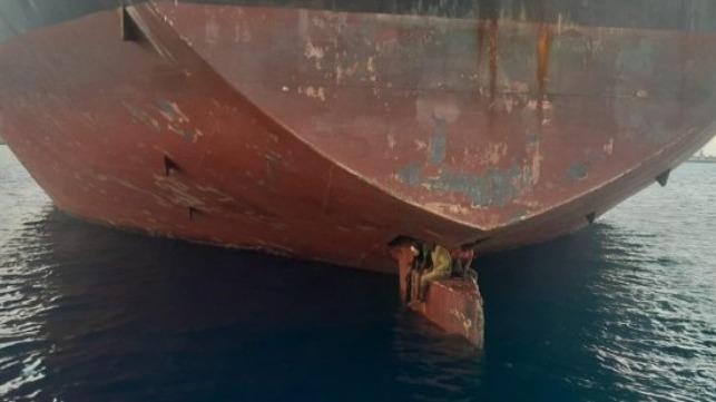 Stowaways on a rudder