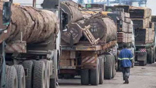 Timber in Cameroon courtesy of TRAFFIC