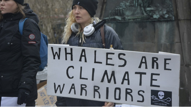 Protest in Iceland