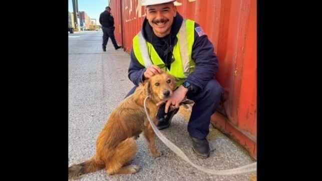 Dog with coastguardsman