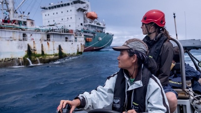 greenpeace fisheries observers