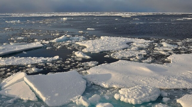 Arctic