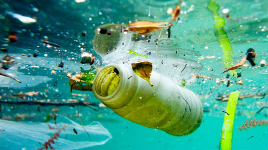 Biodegradable Plastic Doesn't Degrade in the Sea