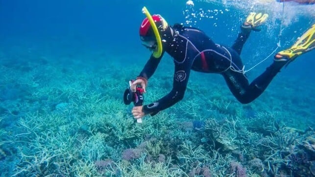 Making these maps took plenty of underwater research as well as satellite data. This photo shows Dr Chris Roelfsema conducting a photo transect in a remote area of the Great Barrier Reef. Allen Coral Atlas, CC BY-SA