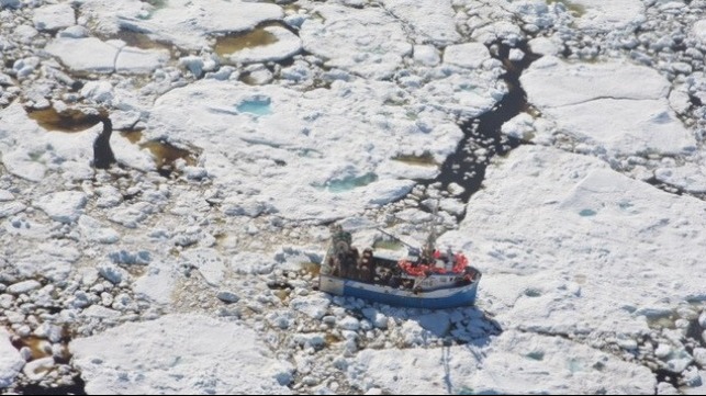 A crab fishing boat trapped in the multiyear sea ice off the Newfoundland coast. Credit: David G. Barber.