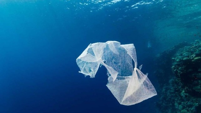 Ships Discharge 10,000 Cubic Meters of Plastic a Year From Sewage - The Maritime Executive