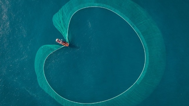 Purse seiner fishes for anchovies off Vietnam (iStock / Pham Hung)