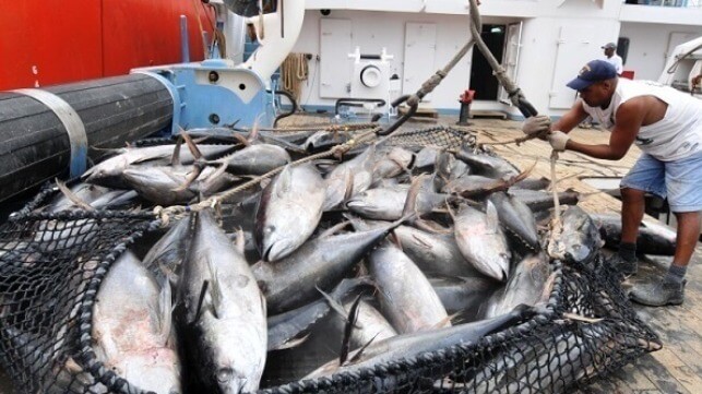 Yellowfin tuna landing in Seychelles