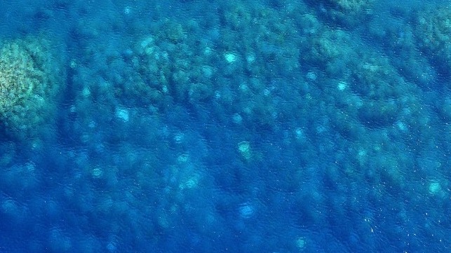 The first confirmation of bleaching on remote coral atolls at Ashmore Reef and the Rowley Shoals was provided in aerial images captured by Australian Border Force. Australian Border Force, Author provided