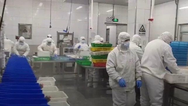 Yantai Sanko workers