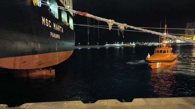 stowaways on containership