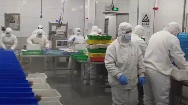Uyghur workers