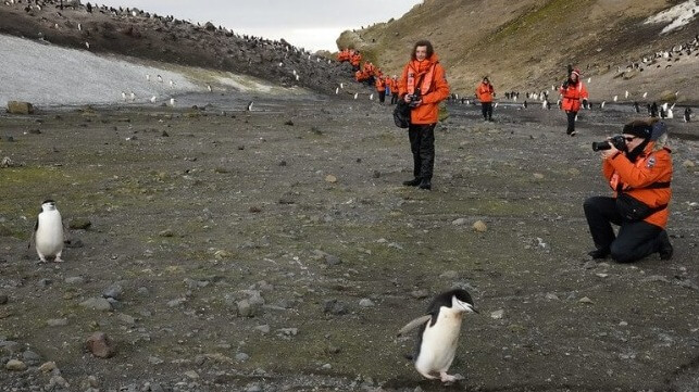 Tourists