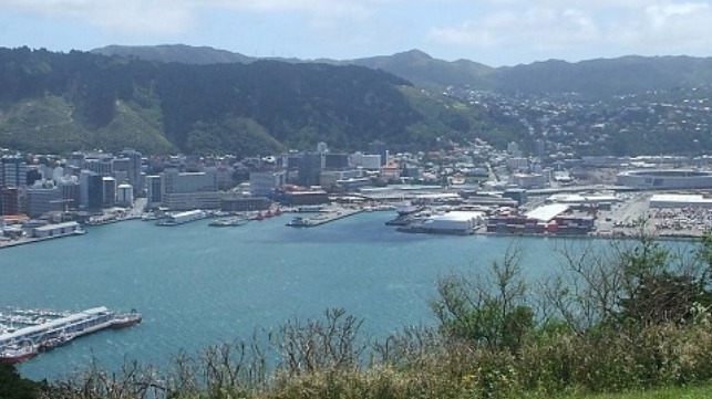 file photo of Wellington