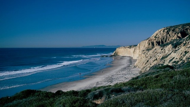 Black's Beach, La Jolla