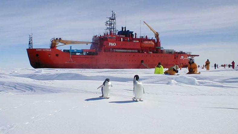 Aurora Australis