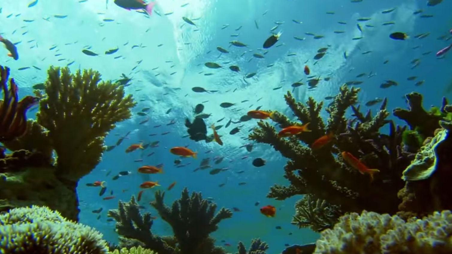 Great Barrier Reef